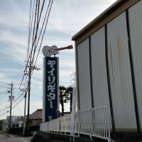 ヤイリギター見学